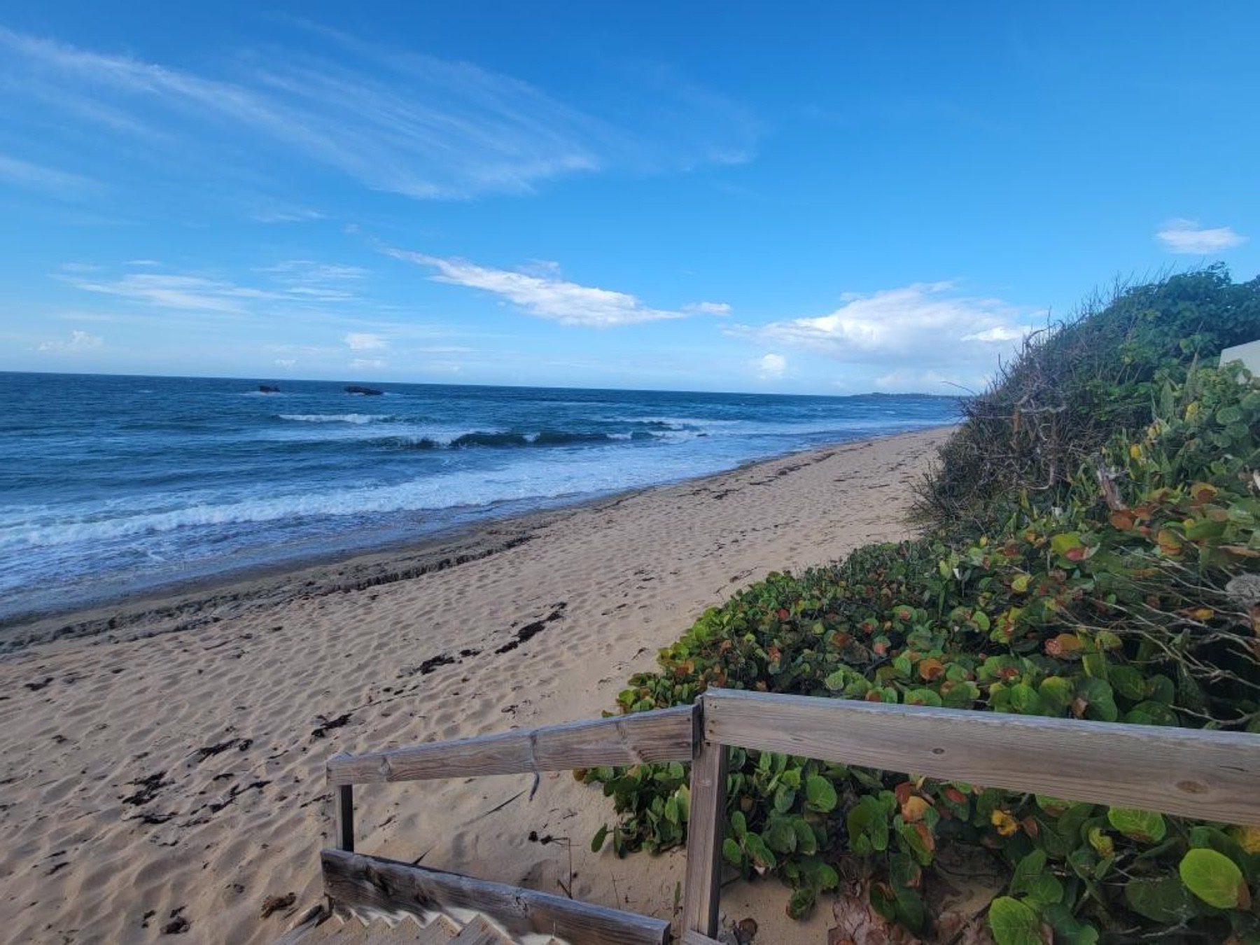 Sandy path along the beach